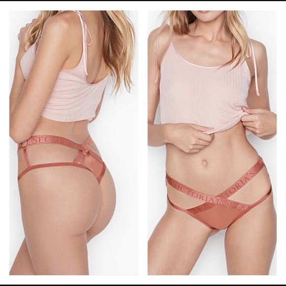 Victoria's Secret Other - Victoria's Secret Cheeky Bands Panty M